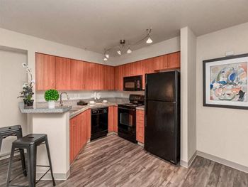 Stainless Steel Appliances*