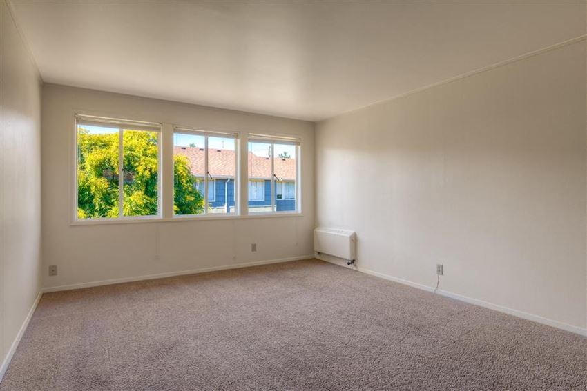 lots of natural light in apartment