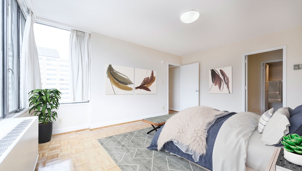 A bedroom with a bed, a plant, and pictures on the wall.