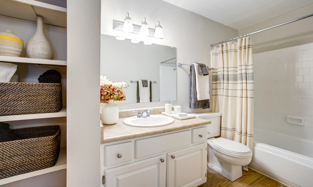a bathroom with a sink and a toilet and a shower