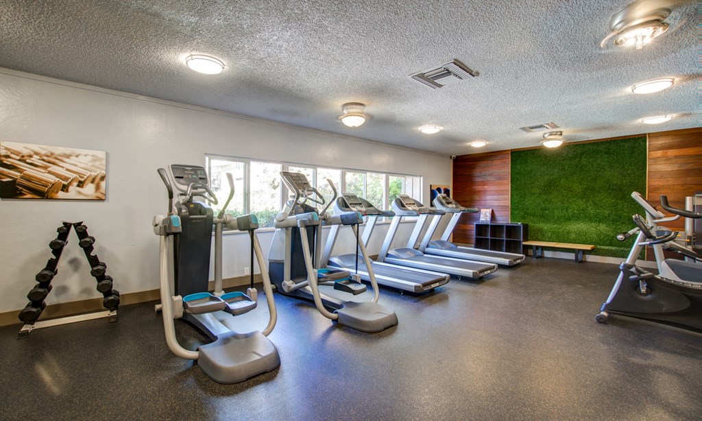 cardio equipment in a gym with windows and grass