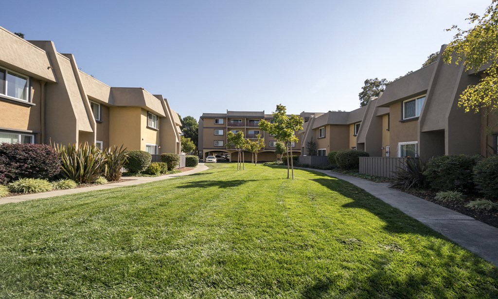 a yard in front of a row of apartment buildings