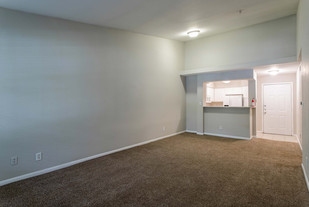 Affordable Houston Texas Apartments – Westchase Forest – Photo of living room with plush carpeting