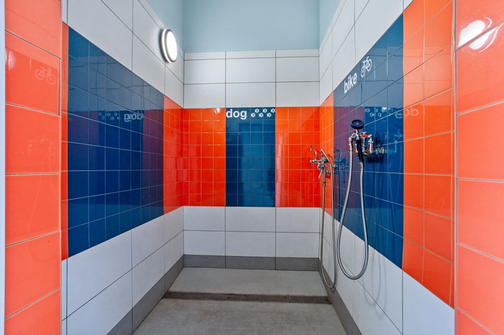 A bathroom with red and blue tiles and a white shower head.