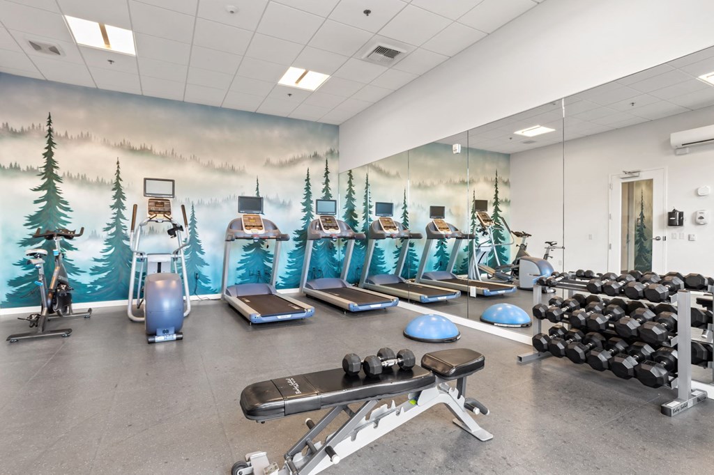 A gym with a wall mural of a forest scene.