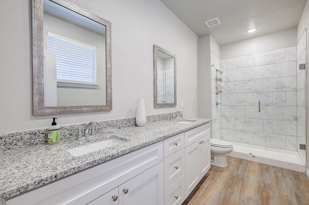 a bathroom with a sink and a mirror and a shower