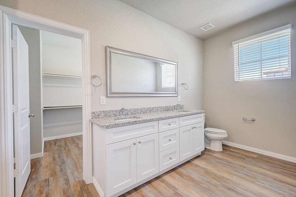 a bathroom with a sink and a mirror and a toilet