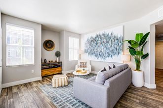 Large Living Space - Photo Gallery