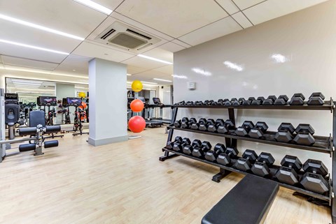 Luxury Apartments for Rent in Upper East Side NYC - Spacious Community Fitness Center with Free Weights, Machines, and Yoga Balls