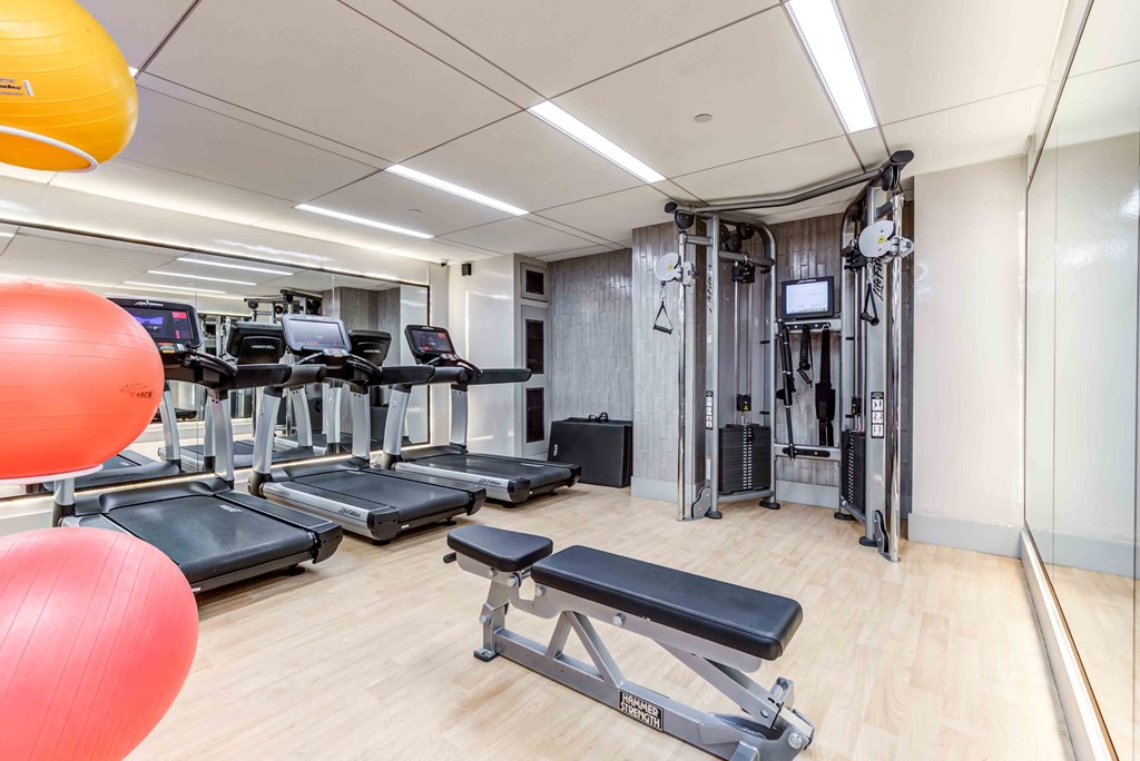 a gym with cardio equipment and weights in a room
