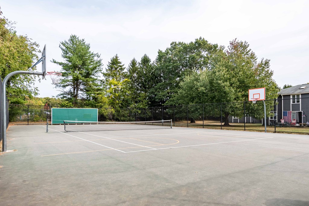 basketball court