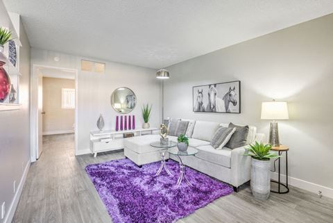 our apartments offer a living room with a purple rug