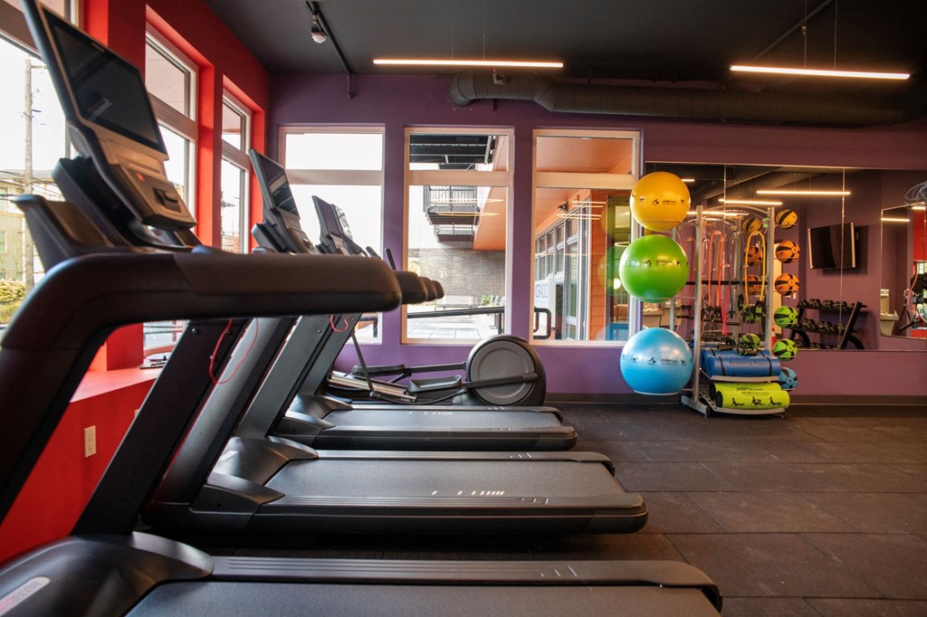 a gym with treadmills and weights and a colorful wall with exercise equipment