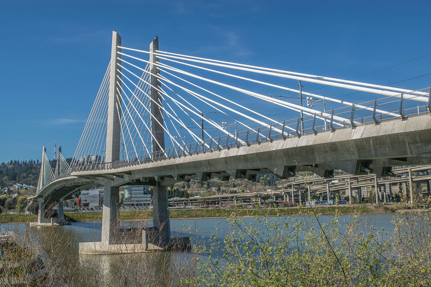 Near South Waterfront's Pedestrian Bridge, OHSU, and River Walk