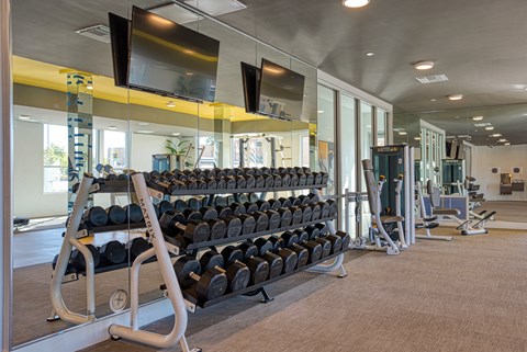 South Scottsdale, AZ, Apartments - Lucent Scottsdale - Athletic Club with Cardio and Strength Training Equipment, Free Weights, Mounted TV, Light Fixtures, and Large Windows.