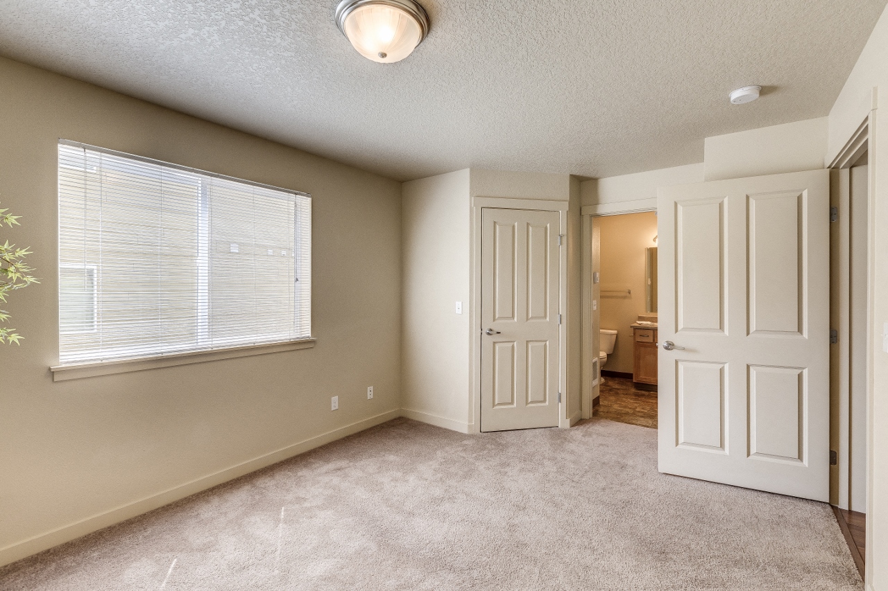 Lots of natural light in apartment