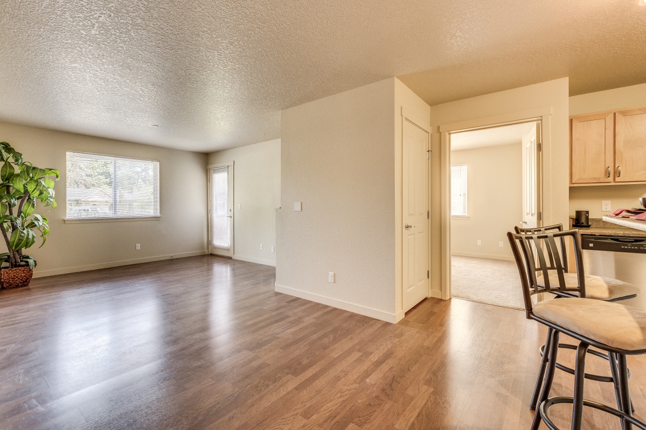 New/Renovated Interior