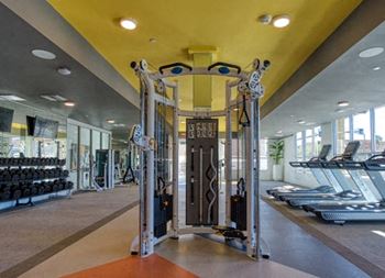 a gym with a treadmill and weights on the floor