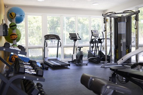 Greentree Apartments in Savannah, GA photo of a gym with cardio equipment and large windows
