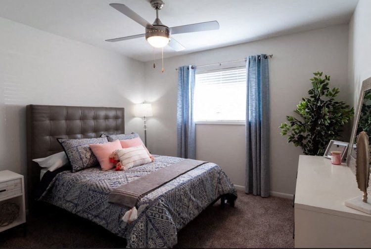 a bedroom with a bed and a ceiling fan