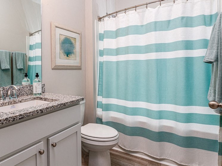 a bathroom with a blue and white shower curtain