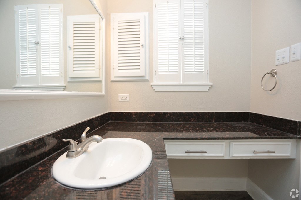 a bathroom with a sink and a counter with a mirror