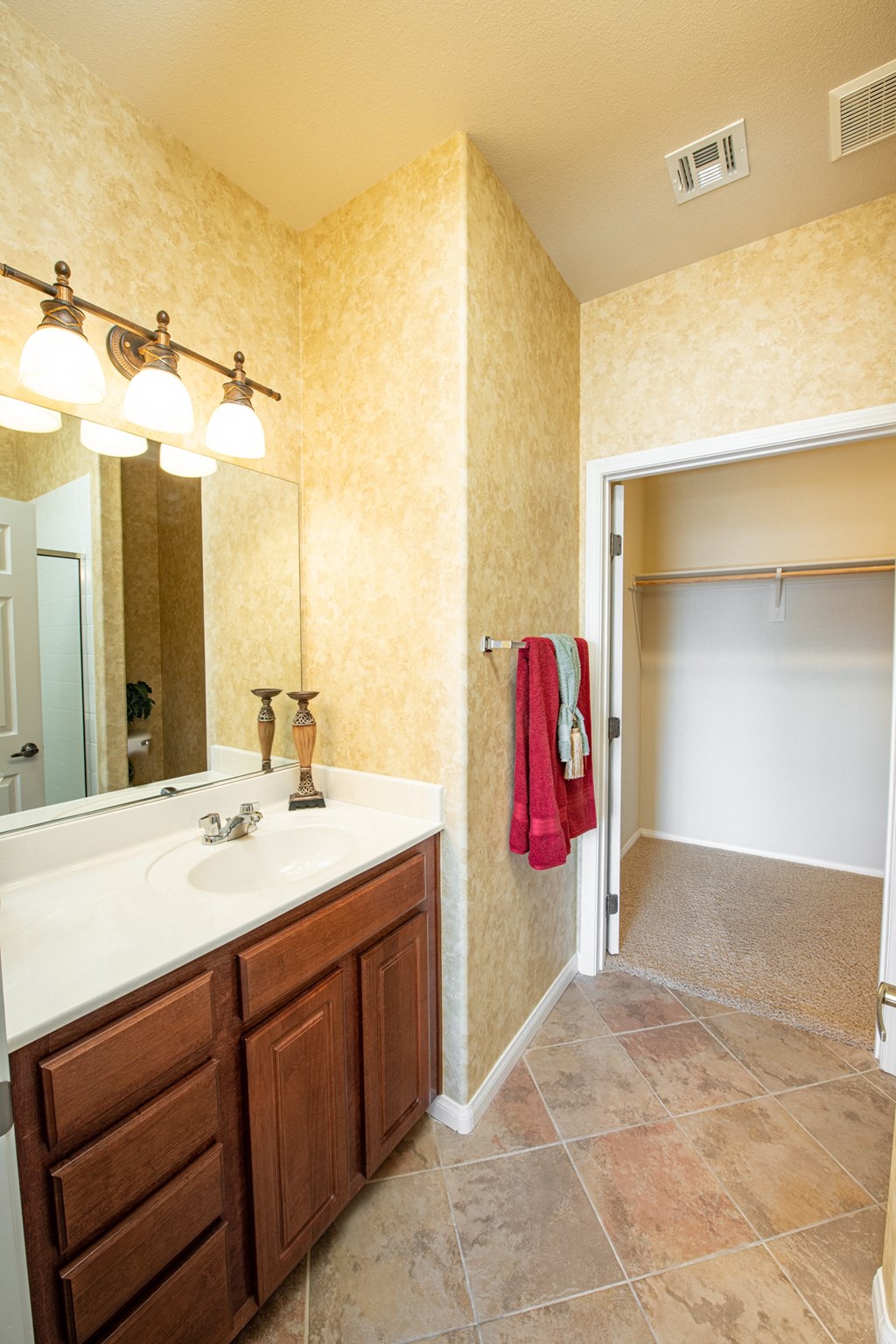 a bathroom with a sink and a mirror and a shower