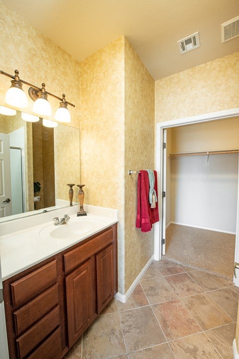 a bathroom with a sink and a mirror and a shower