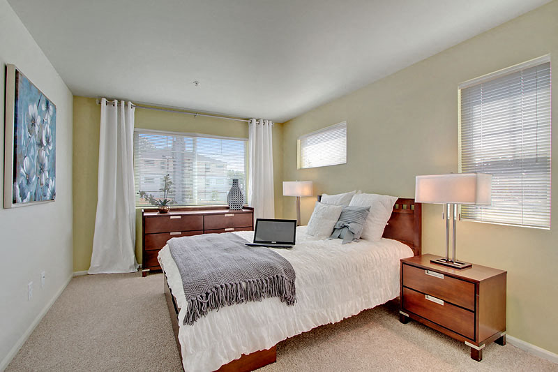 lots of natural light in apartment