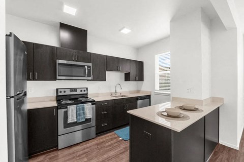 A modern kitchen with black cabinets and stainless steel appliances.