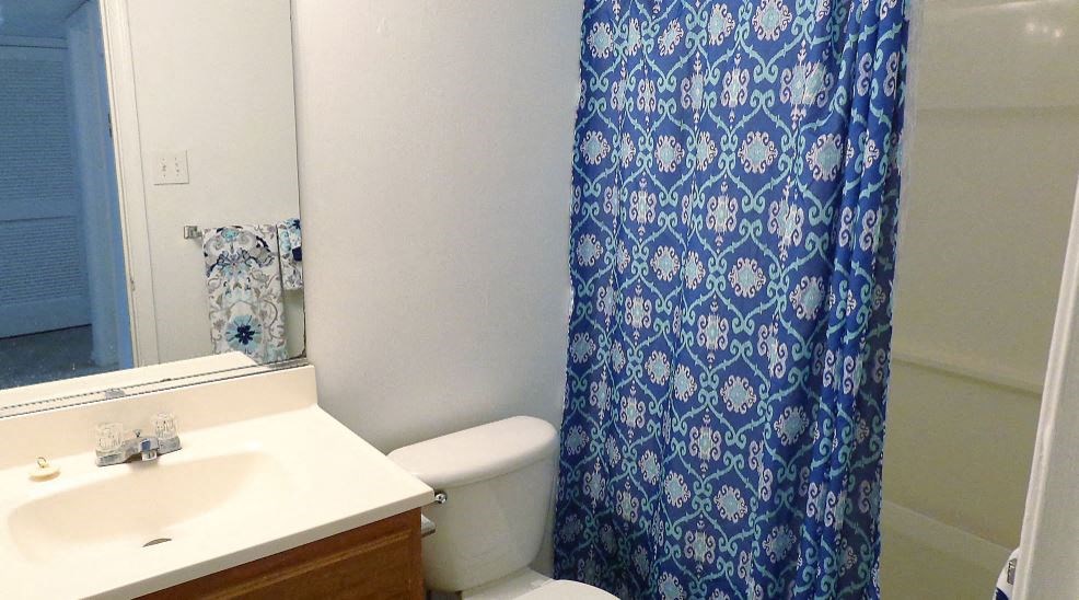 a bathroom with a shower curtain and a toilet and a sink