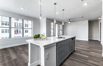 Jovie At Pflugerville