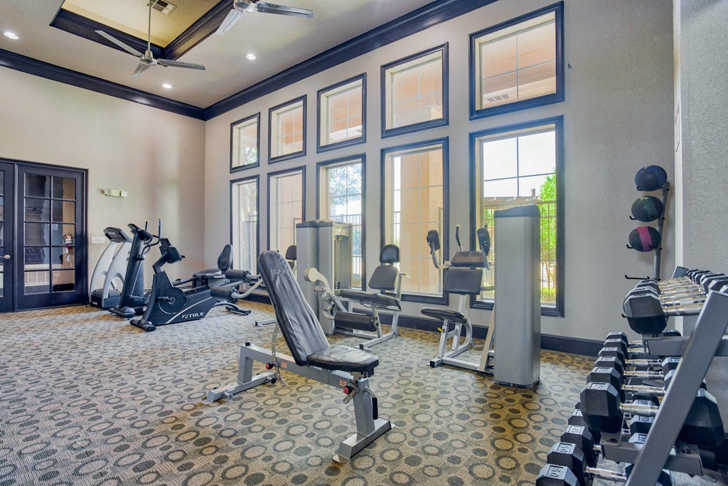 A gym with plenty of free weight and strength equipment and cardio equipment with windows for natural light