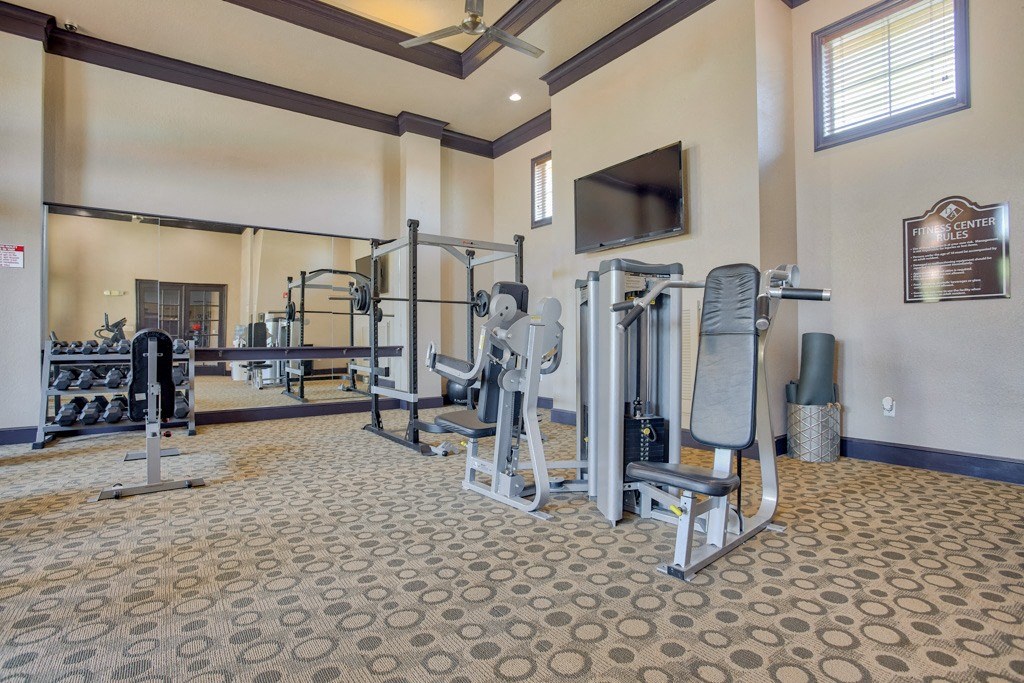 A gym with plenty of free weight and strength equipment and cardio equipment with windows for natural light