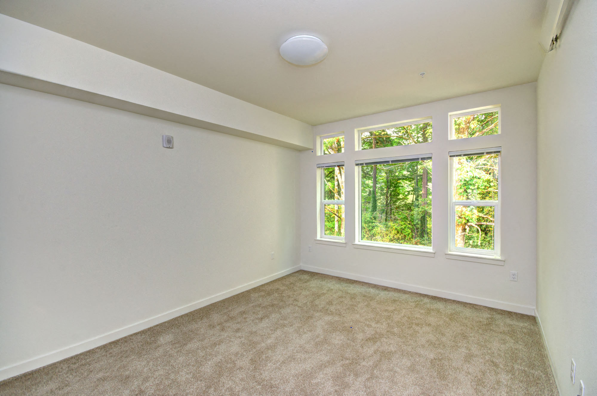 9-Foot Ceilings at Emerald Crest, Bothell, 98011