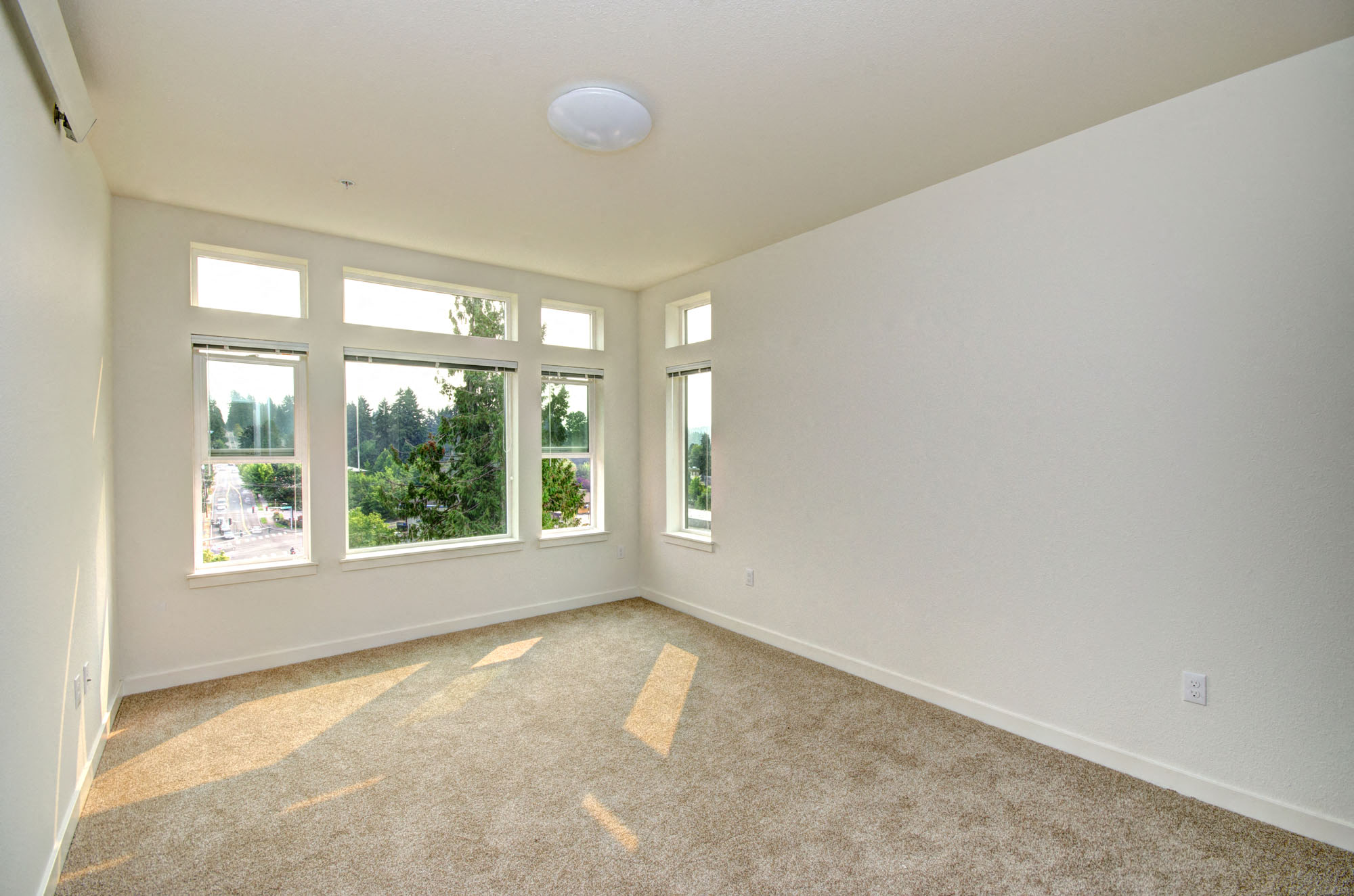 Wall-to-Wall Carpeting at Emerald Crest, Bothell, 98011