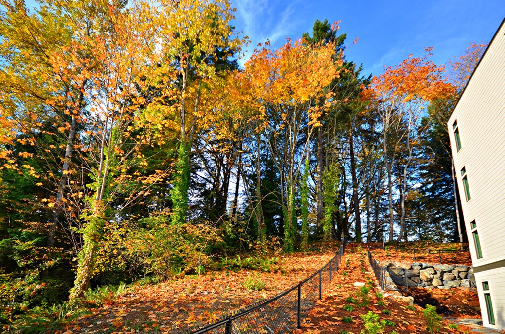 Beautiful Surroundings at Emerald Crest, Bothell