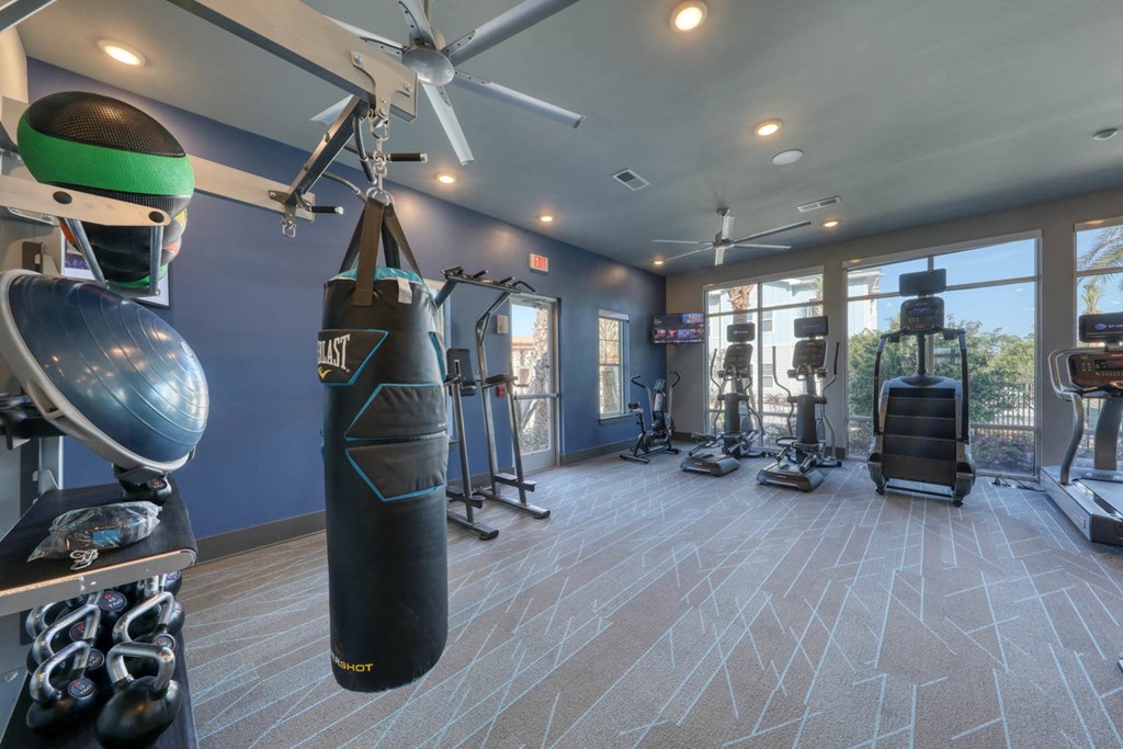 The Ridley apartments in Jacksonville, FL photo of fitness center
