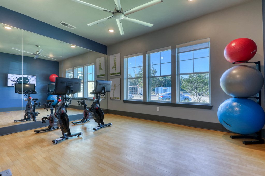 The Ridley apartments in Jacksonville, FL photo of fitness center