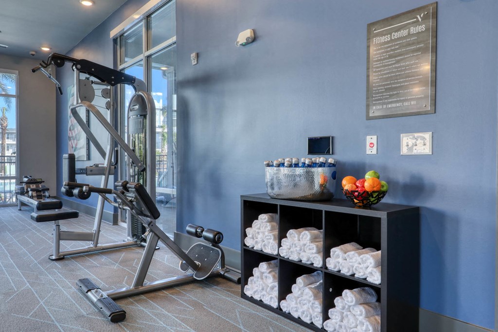 The Ridley apartments in Jacksonville, FL photo of fitness center