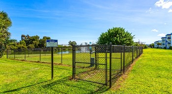 dog park - Photo Gallery 5