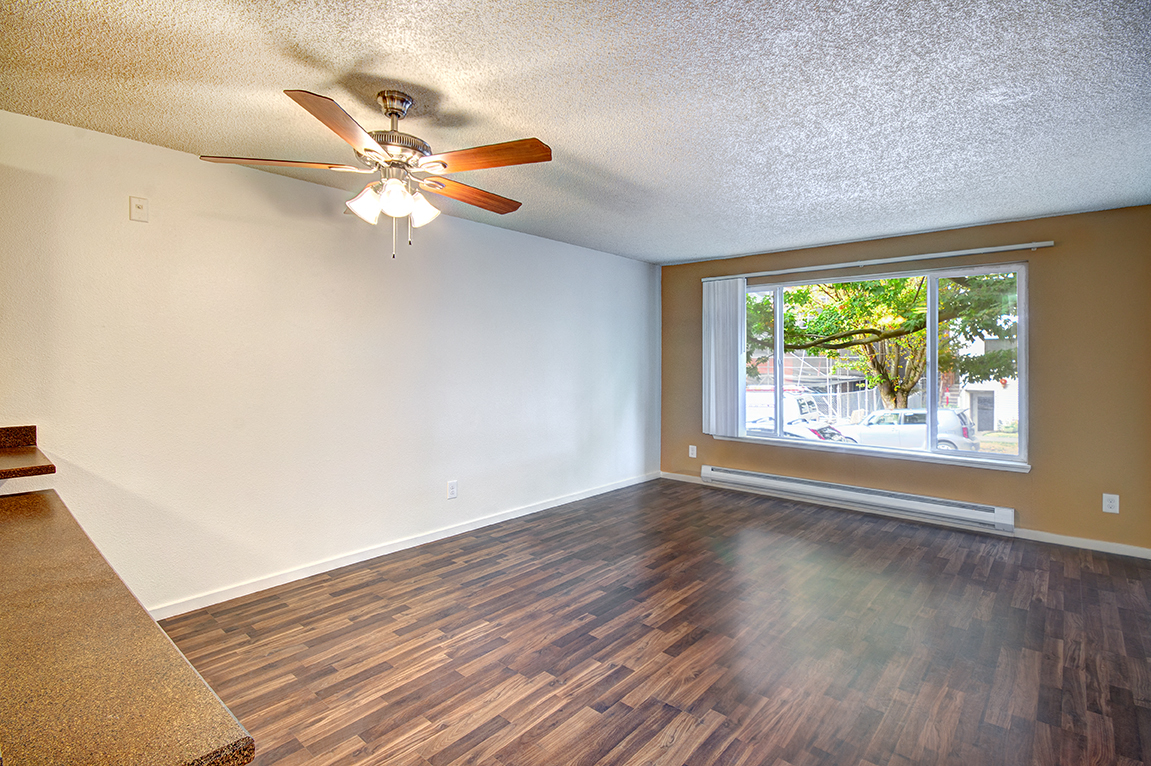 lots of natural light in apartment