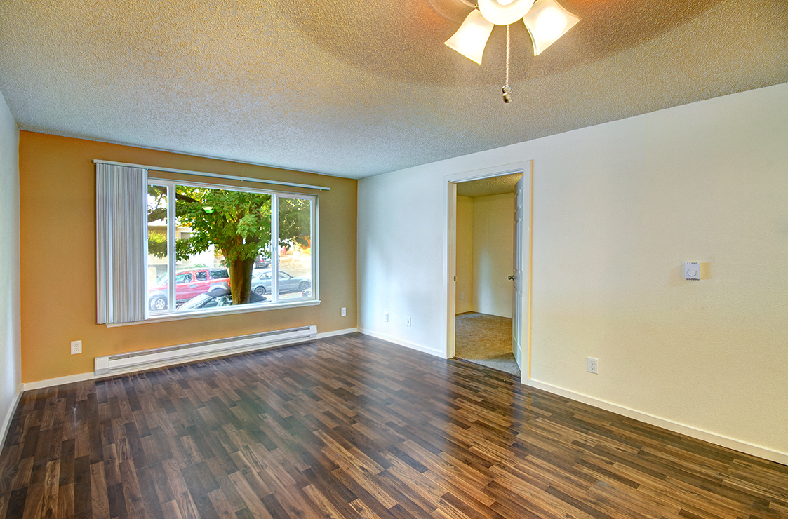 lots of natural light in apartment