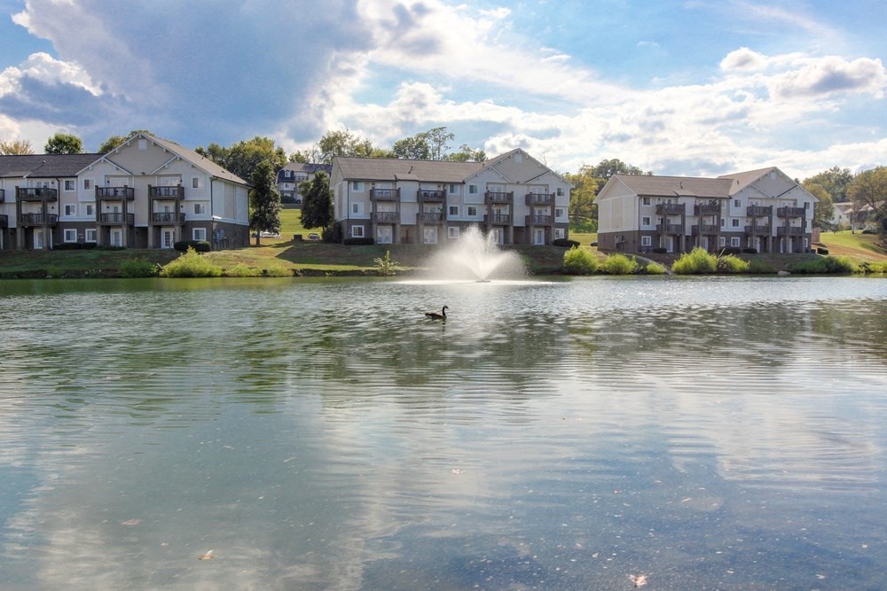 a duck swimming in a pond with an apartment building in the background