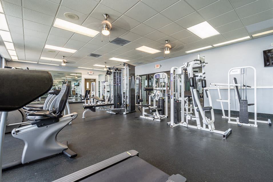 Interior view of a well-equipped gym with weight machines, cardio equipment, and mirrors.