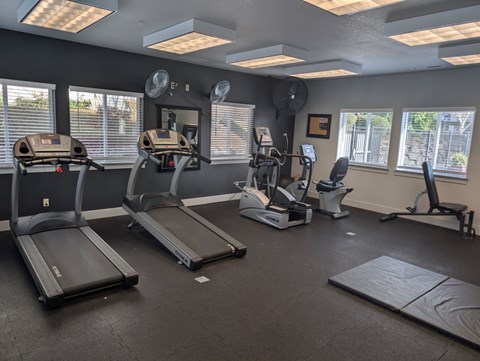 A gym with treadmills, elliptical machines, and other exercise equipment.