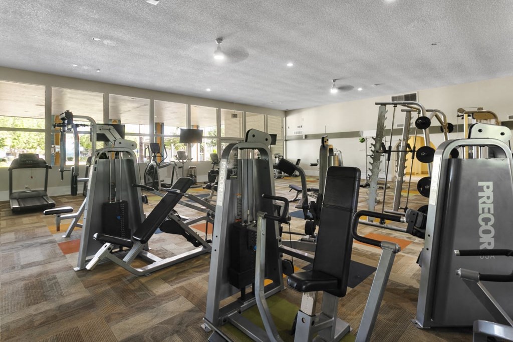 Fully equipped fitness center at Sono Tempe, a pet-friendly community in Tempe near downtown Tempe, AZ, featuring modern cardio and strength-training equipment.