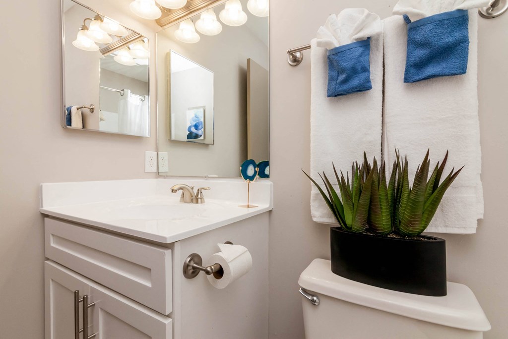 a bathroom with a sink and a mirror and a toilet