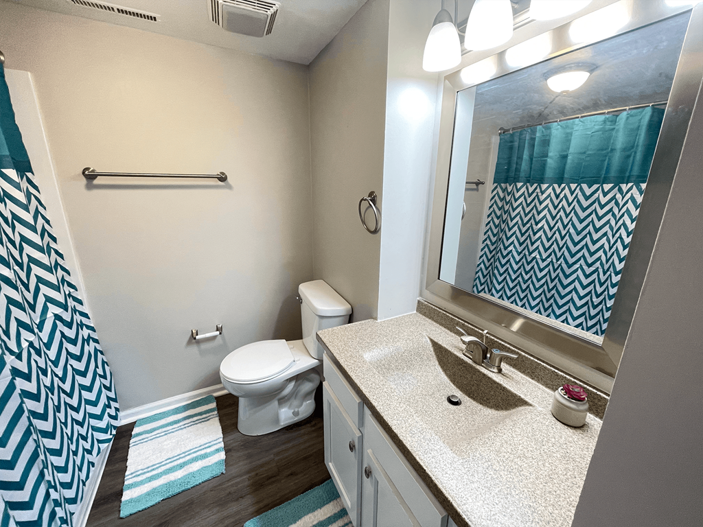 a bathroom with a toilet sink and mirror