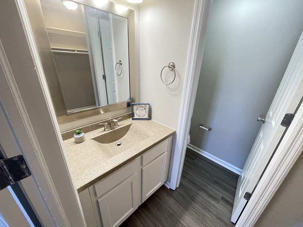 a bathroom with a sink and a shower